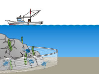 沿岸漁業の漁具 漁法