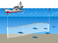 沿岸漁業の漁具 漁法